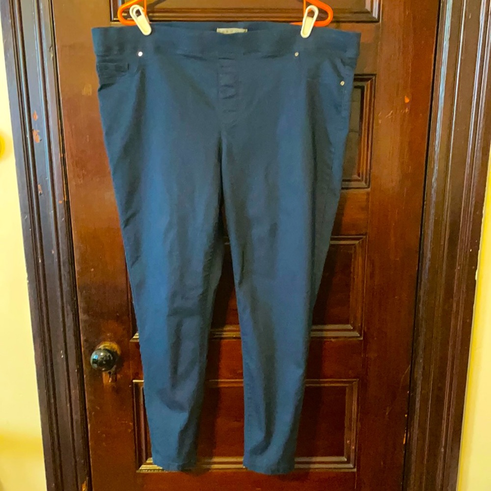 Plus Size Jeggings